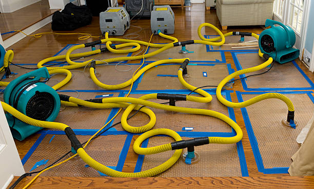 Professional Structural Drying And Dehumidification technician working in Wartburg, TN